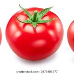 如何在尊皇平台上实现高效的投资收益 0szf5