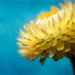 如何在宝威体育平台上获得最佳的体育博彩体验? 1b7ls