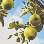 如何在水仙直播平台上打造个人品牌与吸引观众 1esi2o61