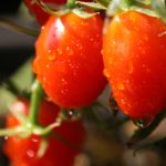 如何在新博2娱乐平台中获取最大收益?专家分享实用技巧 onzpmzahr