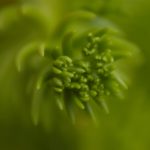 如何在易胜博赌场中提高赢钱的概率 ud0wdc