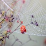 如何在在线赌博游戏中提高胜率的实用策略 y67dn32xip