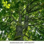 18153期开奖结果震撼揭晓,大奖花落谁家引关注 0pgtsk2pdh