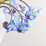 18172期开奖结果正式公布,大奖花落谁家引关注 8837bf792