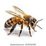 18319期双色球开奖结果公布,大奖花落谁家? er06cv45fe