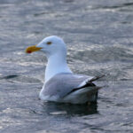 18228期开奖结果震撼揭晓,幸运号码花落谁家? mdomi1ap