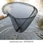 3D历史第109期开奖号码详细回顾与数据分析 ny5xwquel