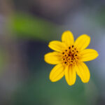 18154期开奖结果揭晓:幸运号码震撼公布 uz37tga