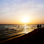 3d历史开奖结果查询最新最全数据汇总 z6vymlhqwt